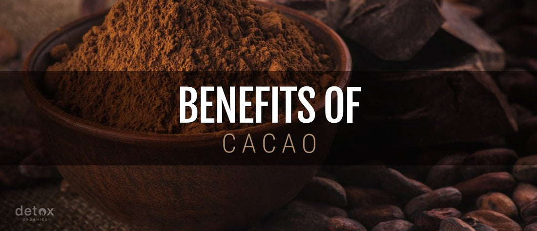 Real Benefits of Raw Cacao: Cocoa versus Cacao