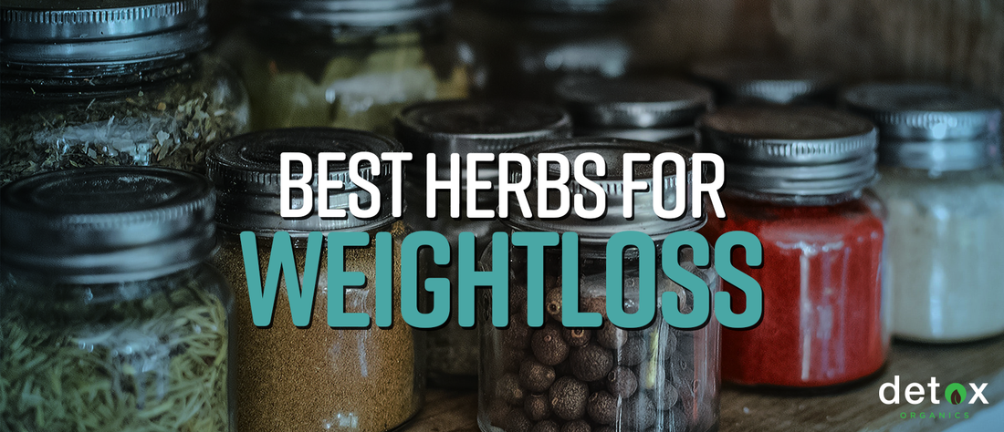 Best Herbs for Weight Loss and Detox (Anti Inflammatory Herbs and More)