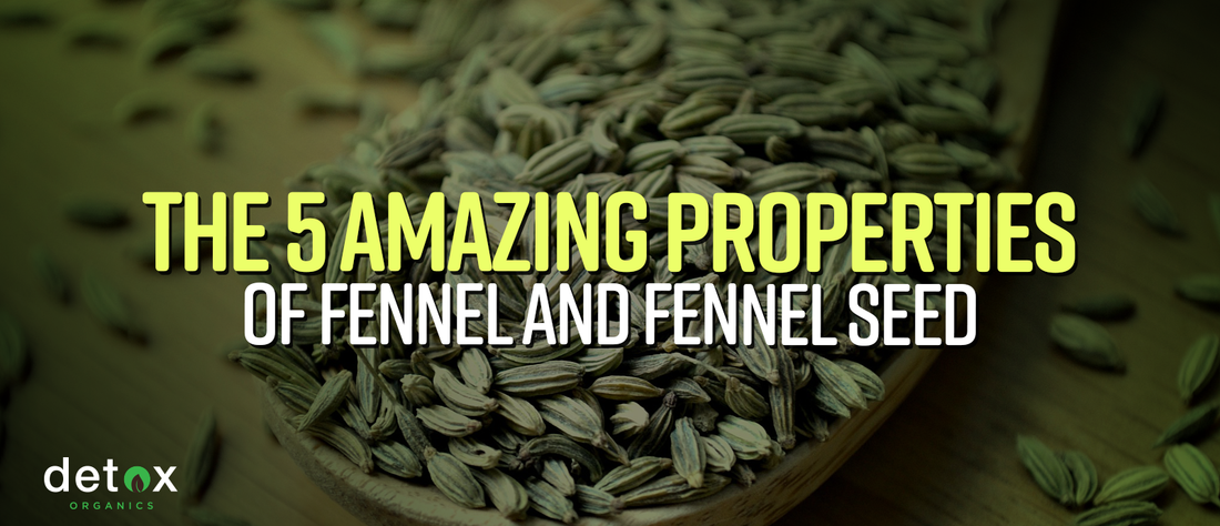 The 5 Amazing Properties of Fennel and Fennel Seed
