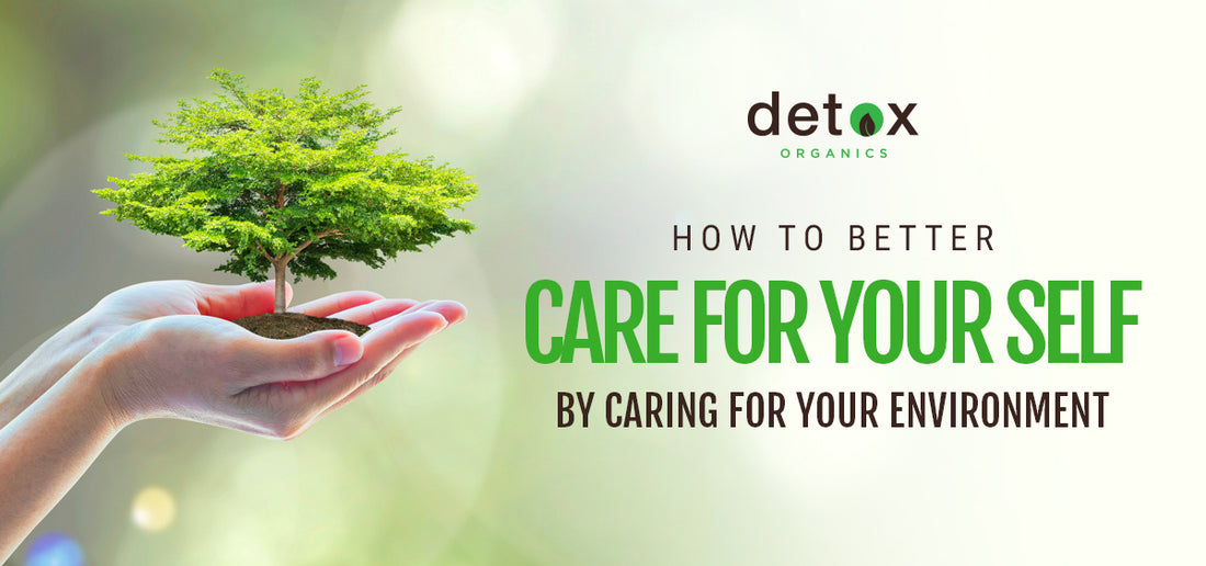 How to Better Care for Your Self By Caring for Your Environment