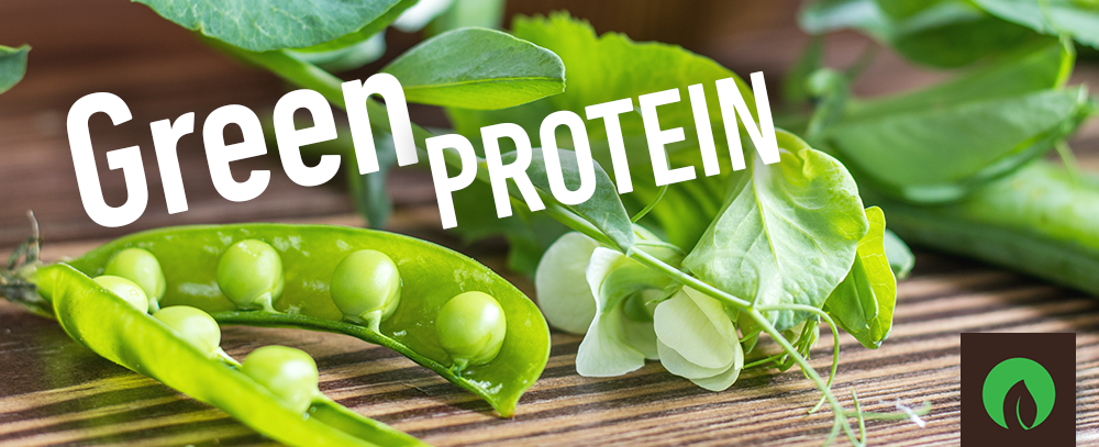 Best green proteins