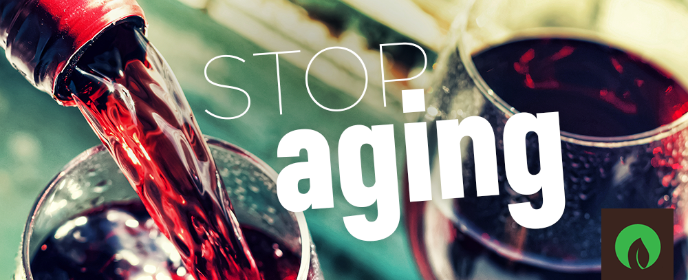 Stop Aging (Foods and Supplements to Prolong your Life)