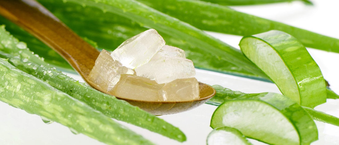 The benefits and detox potential of aloe vera